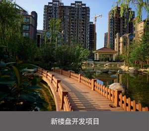 俯仰式停車寶簡(jiǎn)易升降立體車庫(kù)新樓盤開發(fā)項(xiàng)目